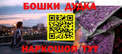 прущие крисы Новозыбков